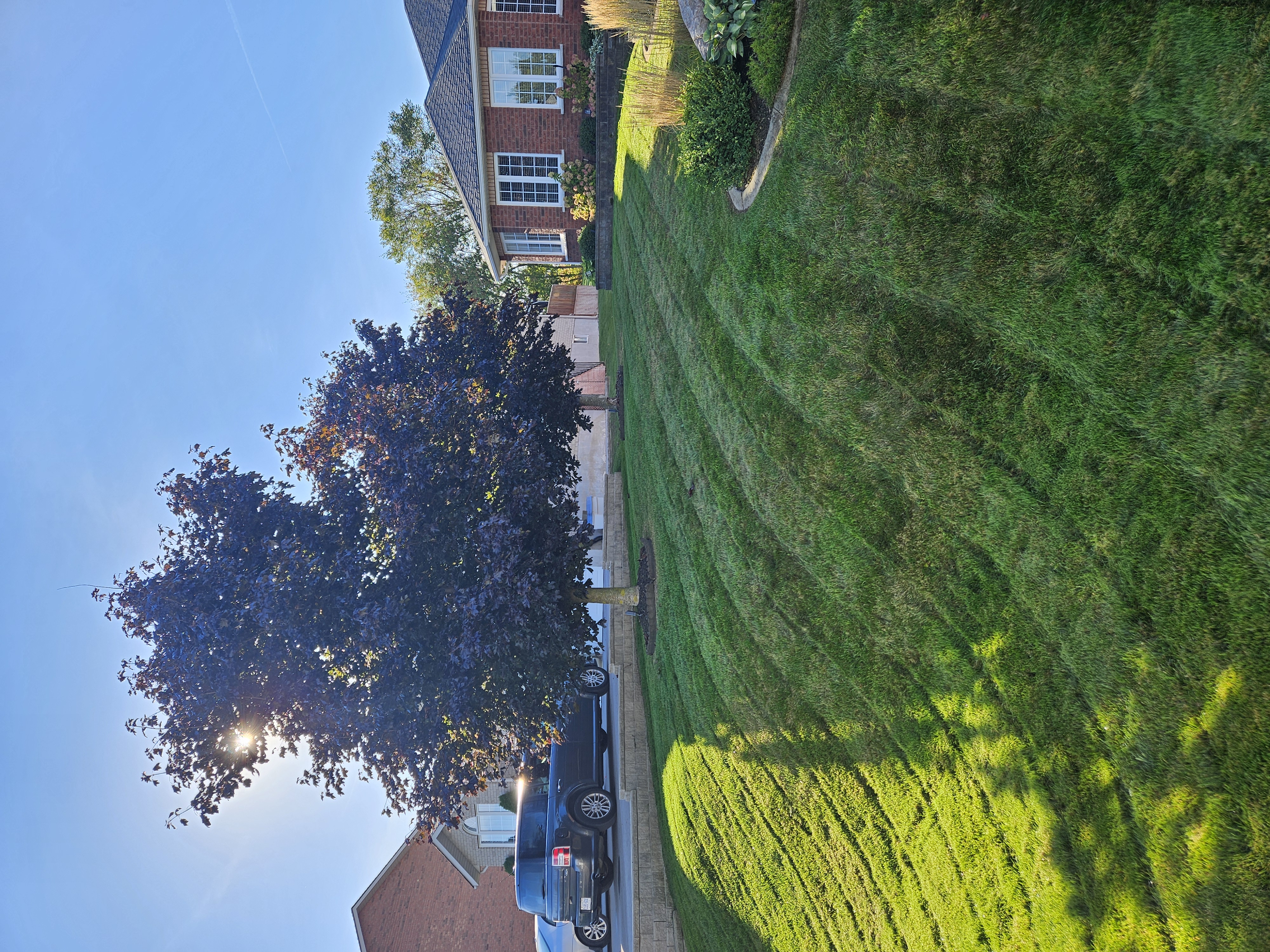 Landscaping project 1