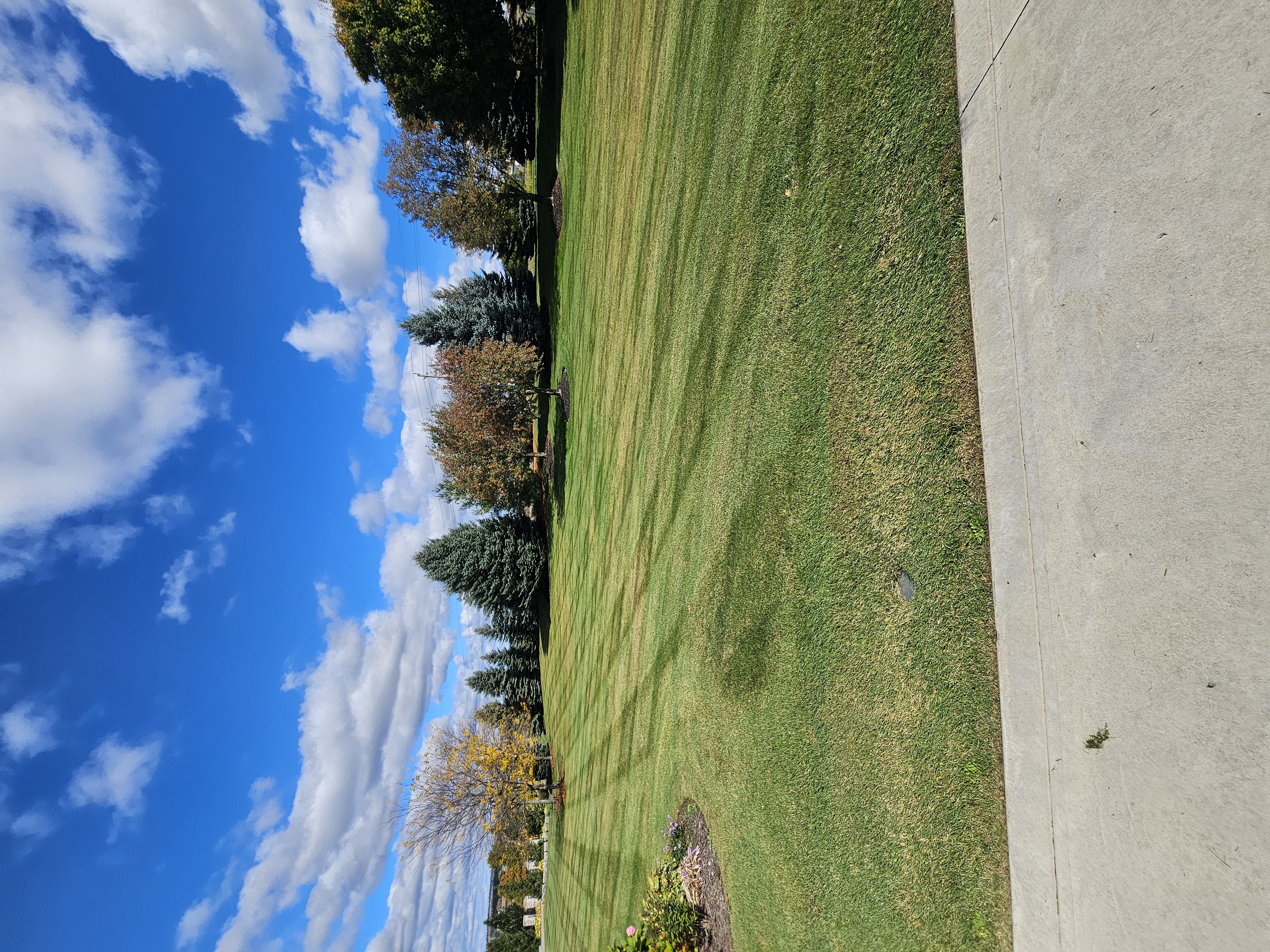 Landscaping project 2