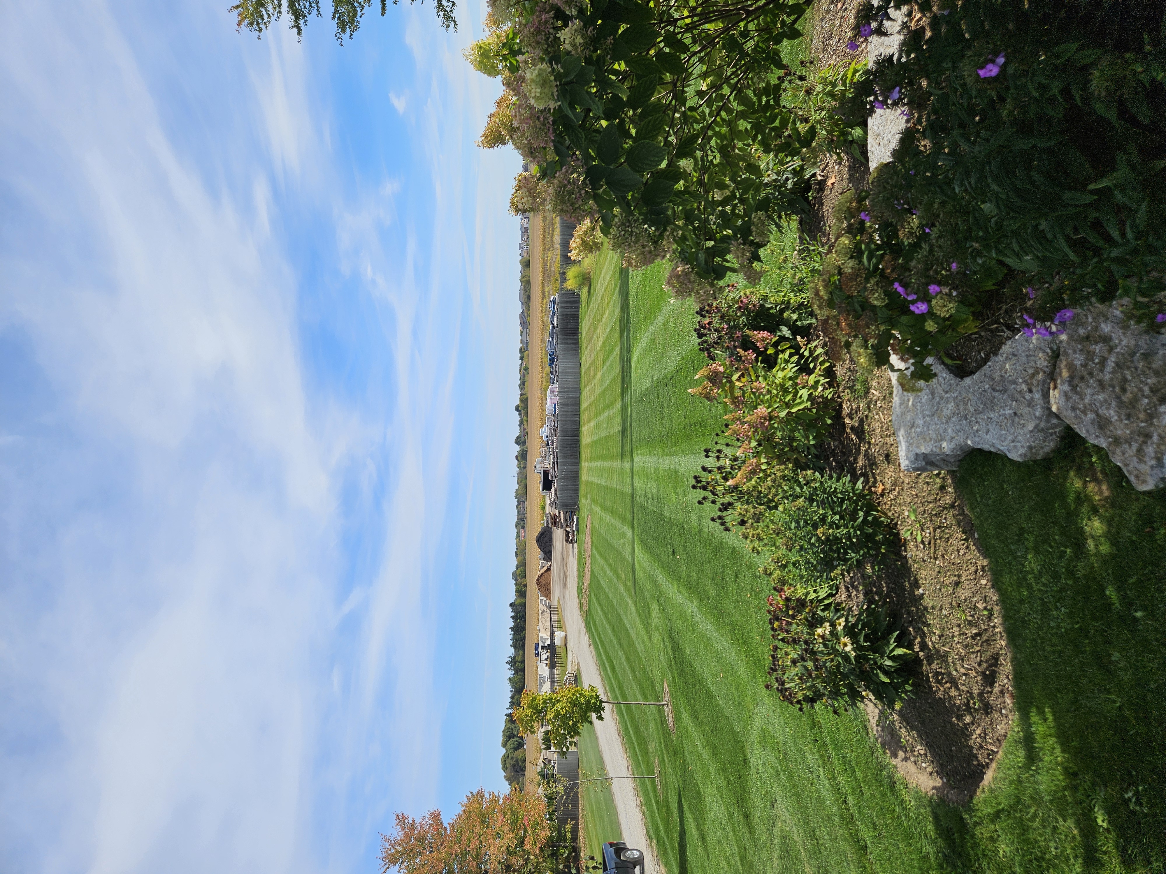 Landscaping project 3