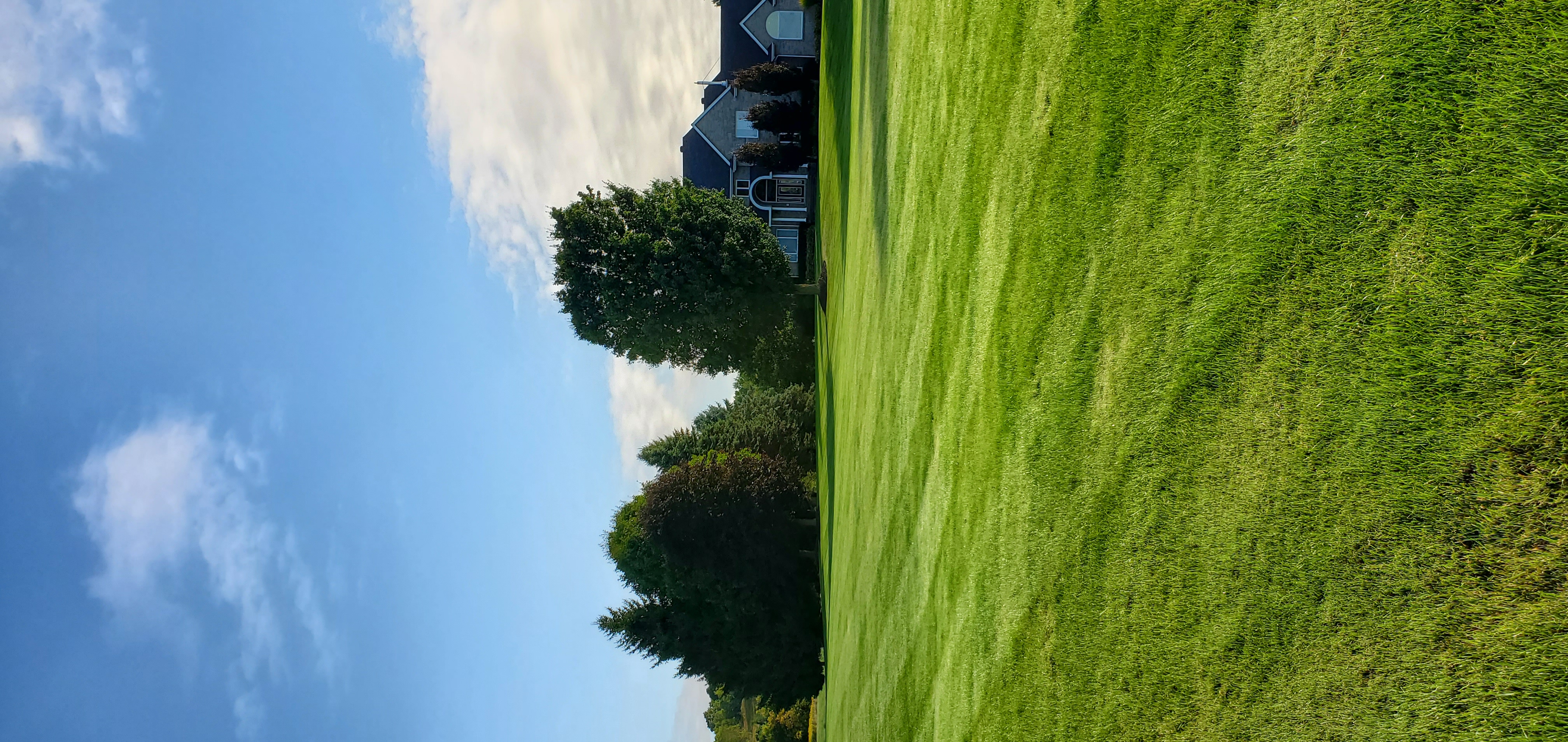 Landscaping project 4