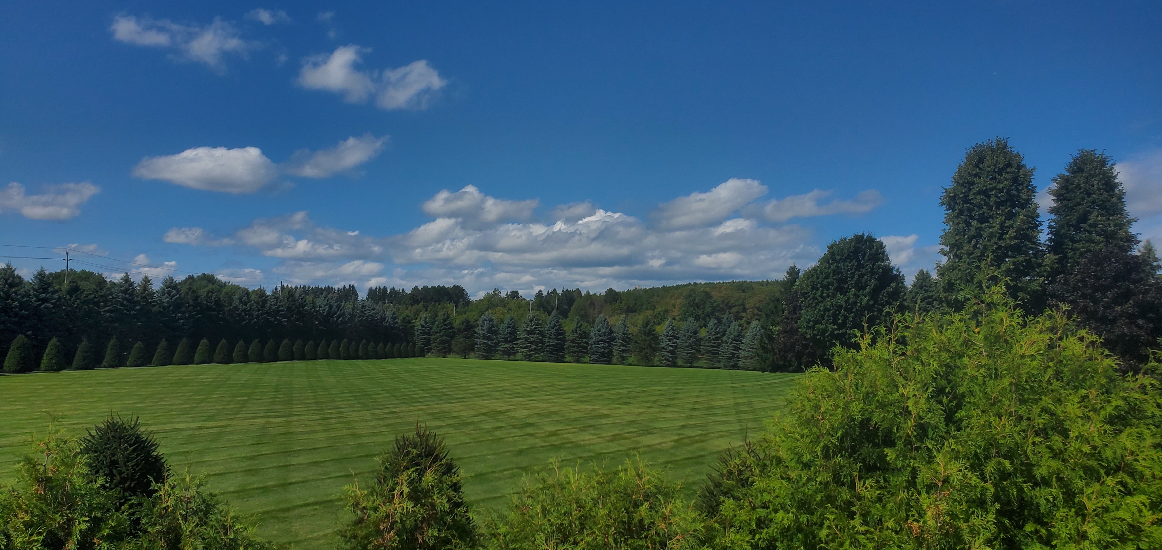 Landscaping project 5